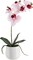Artificial Orchids in Ceramic Pottery,Fake Orchid with Real Touch Stems, Faux Orchid Flowers for Artificial Flora Table Arrangement Centerpiece,Gift for Mom,Wife,Friends.Home & Office Decoration(16in)